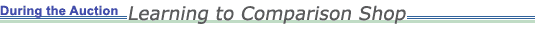 During the Auction: Learning to Comparison Shop