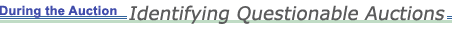 During the Auction:  Identifying Questionable Auctions