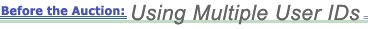Before the Auction: Using Multiple User IDs