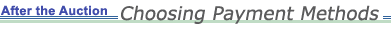 After the Auction: Choosing Payment Methods