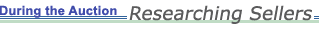During the Auction:  Researching Sellers