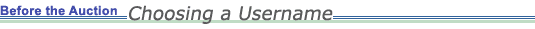 Before the Auction: Choosing a Username
