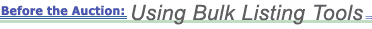 Before the Auction: Using Bulk Listing Tools