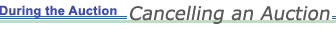 During the Auction:  Cancelling an Auction
