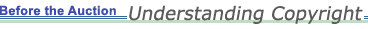 Before the Auction: Understanding Copyright