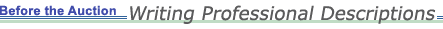 Before the Auction:  Writing Professional Descriptions