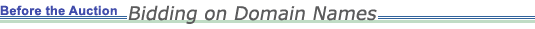 Before the Auction: Bidding on Domain Names