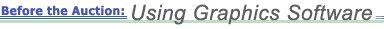Before the Auction: Using Graphics Software