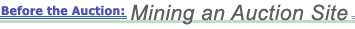 Before the Auction: Mining an Auction Site