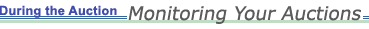 During the Auction: Monitoring Your Auctions