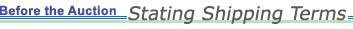 Before the Auction: Stating Shipping Terms