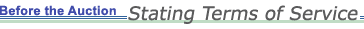 Before the Auction: Stating Terms of Service